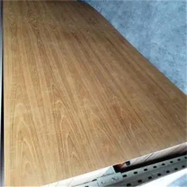 Tammi -sormen nivellevy